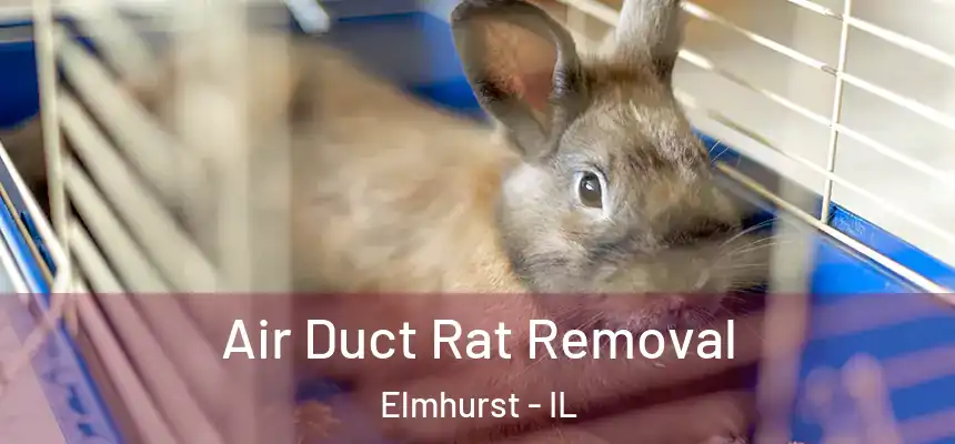  Air Duct Rat Removal Elmhurst - IL