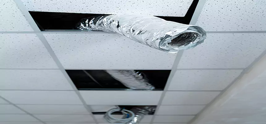 Our Air Duct Pet Hair Removal Services in Elmhurst, IL