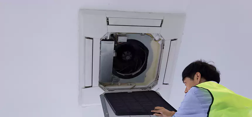 Our Dryer Vent Sanitization Service Services in Elmhurst, IL
