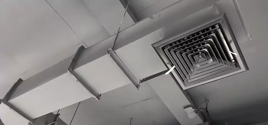 Our Pest Removal From Ducts Services in Elmhurst, IL