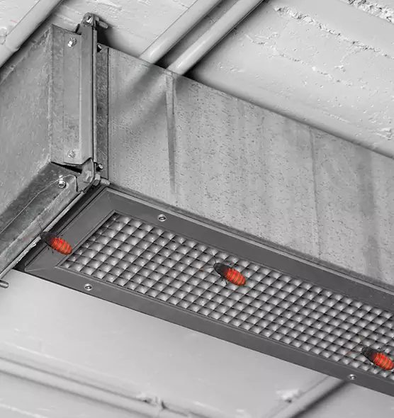 Affordable Insect Removal from Air Ducts in Elmhurst, IL