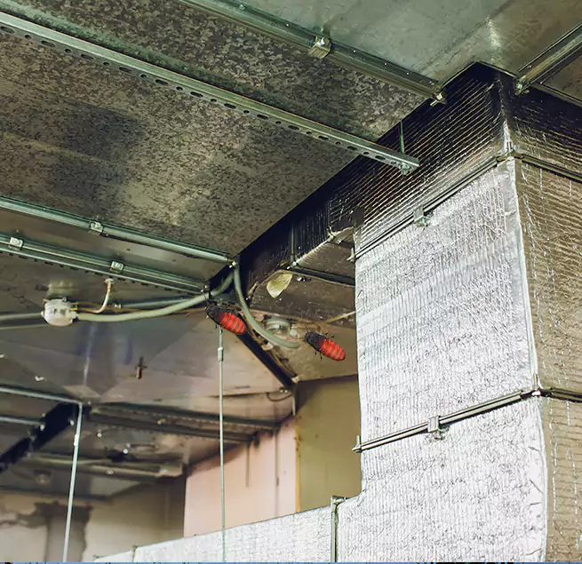 Why Homeowners & Businesses Trust Us in Elmhurst, IL?