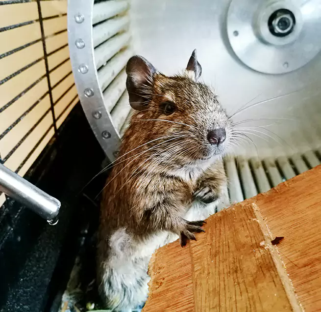 Why Homeowners & Businesses Trust Us Elmhurst, IL