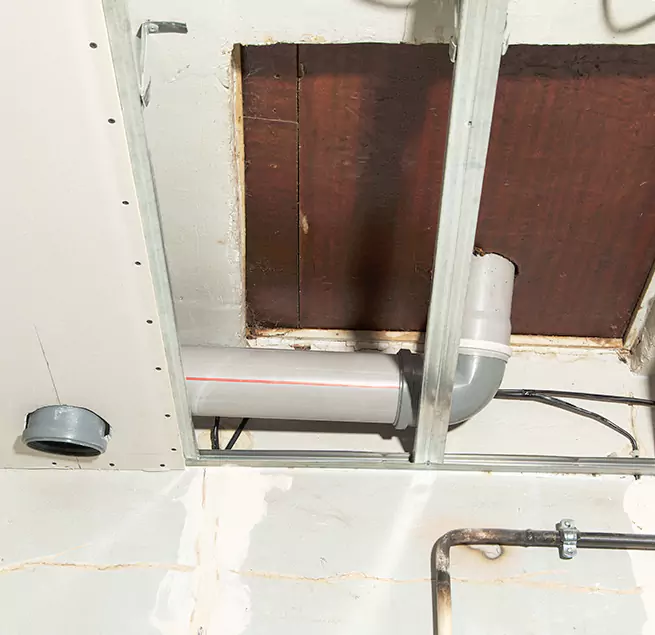 Why Homeowners & Businesses Trust Us in Elmhurst, IL?