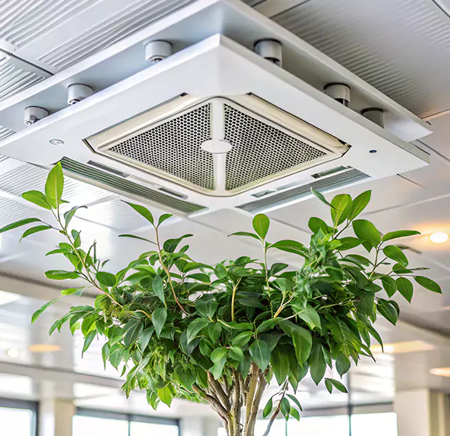 Why Homeowners & Businesses Trust Us in Elmhurst, IL