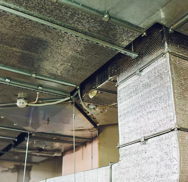 Why Homeowners & Businesses Trust Us in Elmhurst, IL?